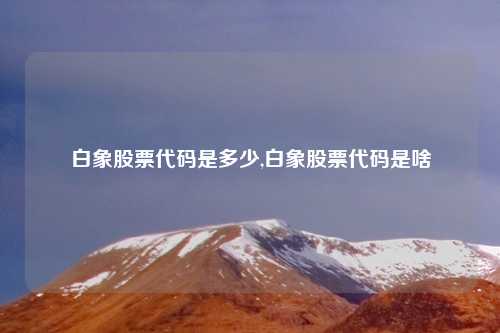 白象股票代码是多少,白象股票代码是啥