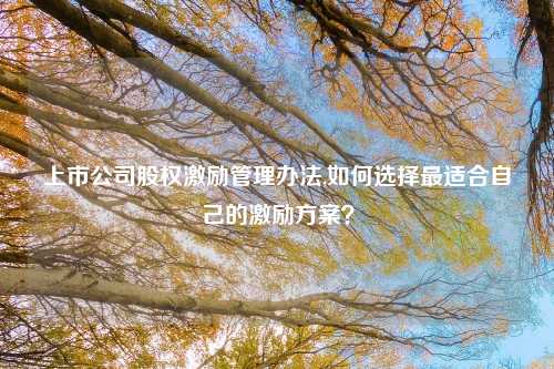 上市公司股权激励管理办法,如何选择最适合自己的激励方案？
