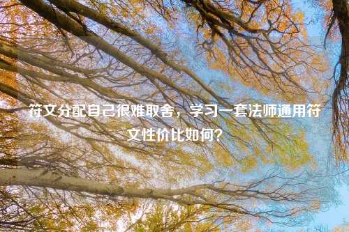 符文分配自己很难取舍，学习一套法师通用符文性价比如何？