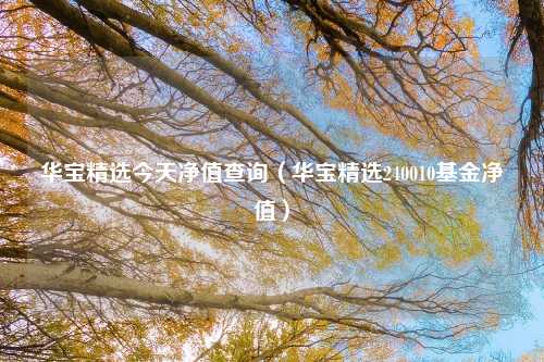 华宝精选今天净值查询（华宝精选240010基金净值）