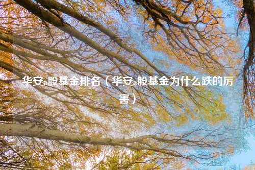 华安a股基金排名(华安a股基金为什么跌的厉害)