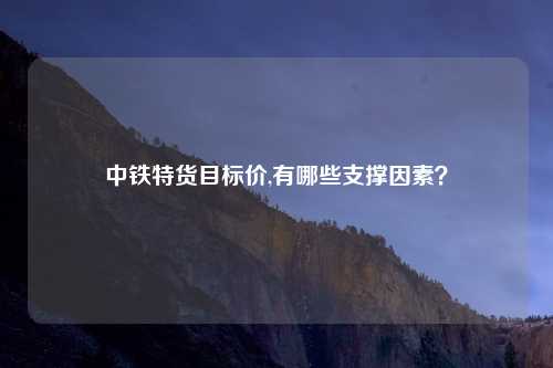 中铁特货目标价,有哪些支撑因素？