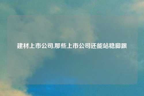 建材上市公司,那些上市公司还能站稳脚跟