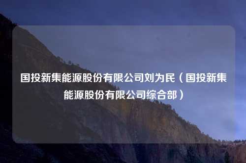 国投新集能源股份有限公司刘为民（国投新集能源股份有限公司综合部）