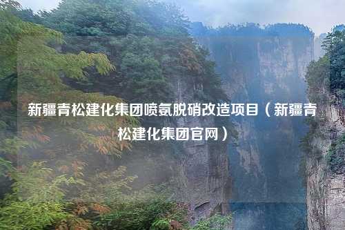 新疆青松建化集团喷氨脱硝改造项目（新疆青松建化集团官网）