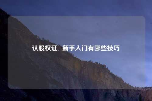 认股权证,  新手入门有哪些技巧