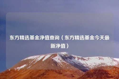 东方精选基金净值查询(东方精选基金今天最新净值)