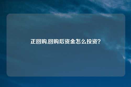 正回购,回购后资金怎么投资？