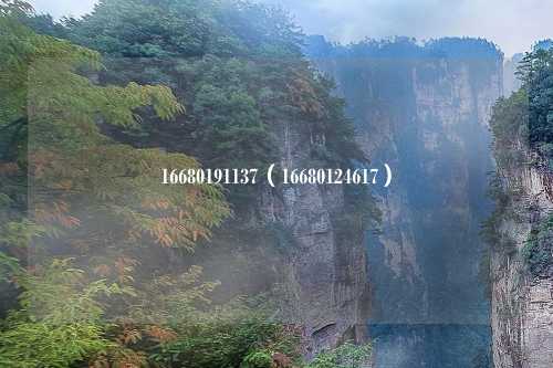16680191137（16680124617）