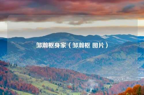 邹瀚枢身家(邹瀚枢 图片)