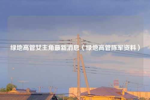 绿地高管女主角最新消息（绿地高管陈军资料）