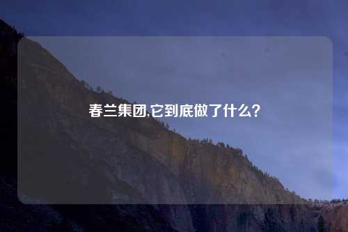 春兰集团,它到底做了什么？