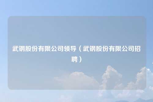 武钢股份有限公司领导（武钢股份有限公司招聘）