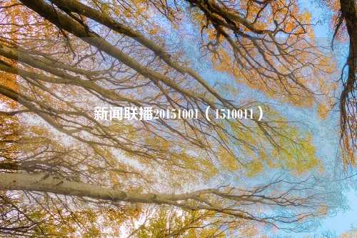 新闻联播20151001（1510011）