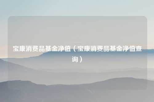 宝康消费品基金净值（宝康消费品基金净值查询）