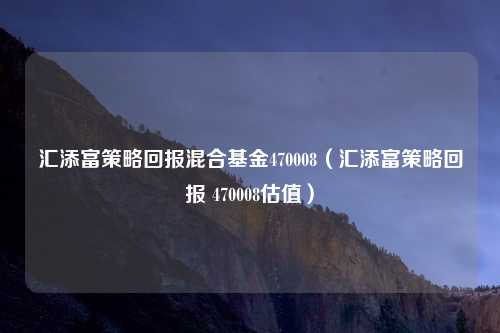 汇添富策略回报混合基金470008(汇添富策略回报 470008估值)