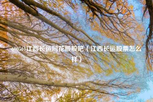 600561江西长运同花顺股吧(江西长运股票怎么样)