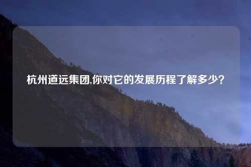 杭州道远集团,你对它的发展历程了解多少？