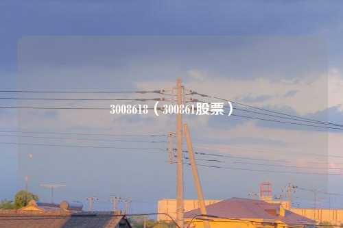 3008618（300861股票）