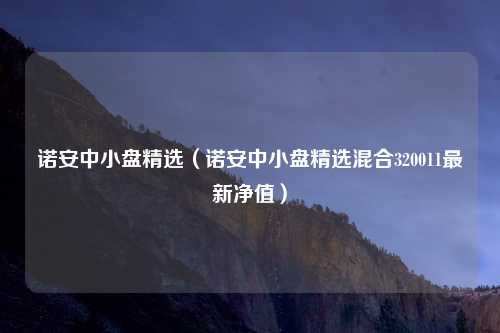 诺安中小盘精选(诺安中小盘精选混合320011最新净值)