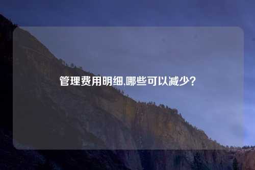 管理费用明细,哪些可以减少？