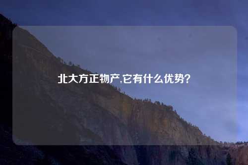 北大方正物产,它有什么优势？