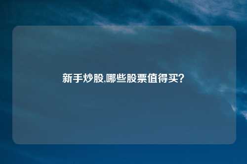 新手炒股,哪些股票值得买？