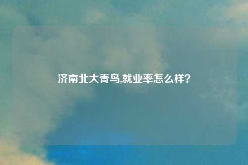 济南北大青鸟,就业率怎么样？
