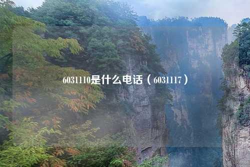 6031110是什么电话（6031117）