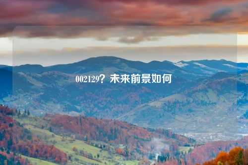 002129？未来前景如何