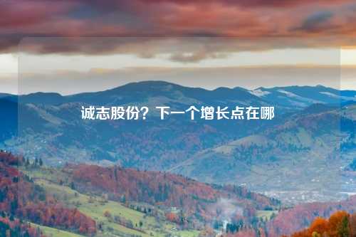 诚志股份？下一个增长点在哪