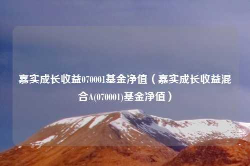 嘉实成长收益070001基金净值（嘉实成长收益混合A(070001)基金净值）