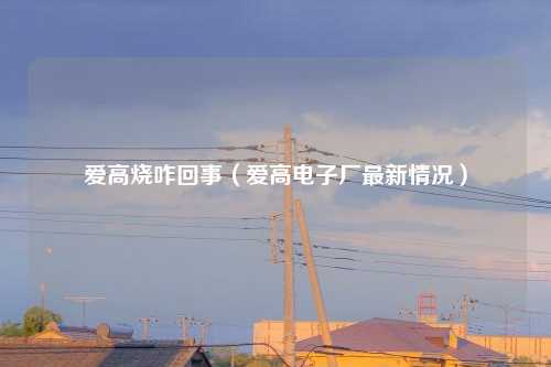 爱高烧咋回事(爱高电子厂最新情况)