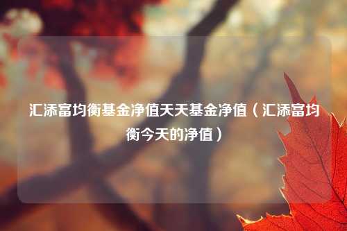 汇添富均衡基金净值天天基金净值（汇添富均衡今天的净值）