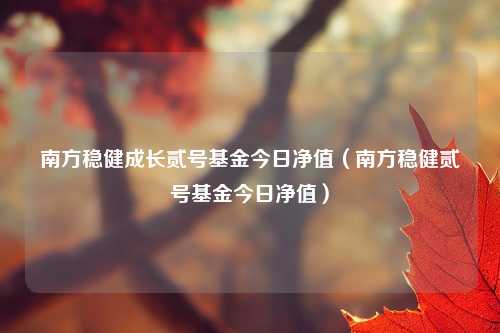 南方稳健成长贰号基金今日净值(南方稳健贰号基金今日净值)