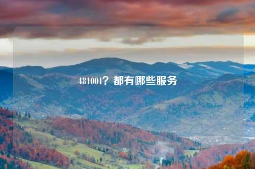481001？都有哪些服务