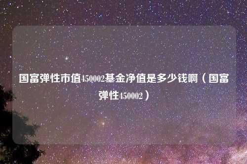 国富弹性市值450002基金净值是多少钱啊（国富弹性450002）