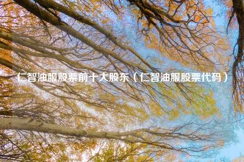 仁智油服股票前十大股东(仁智油服股票代码)