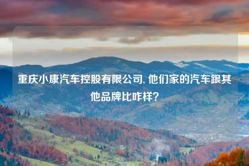 重庆小康汽车控股有限公司, 他们家的汽车跟其他品牌比咋样？