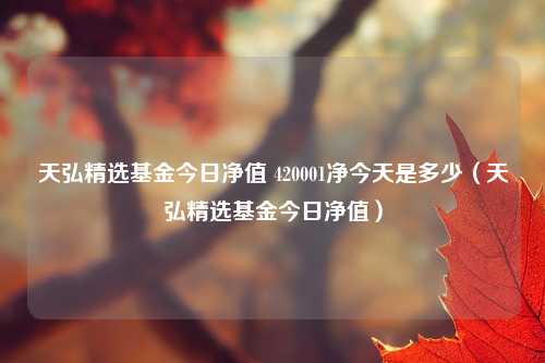天弘精选基金今日净值 420001净今天是多少(天弘精选基金今日净值)