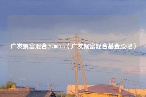 广发聚富混合(270001)（广发聚富混合基金股吧）