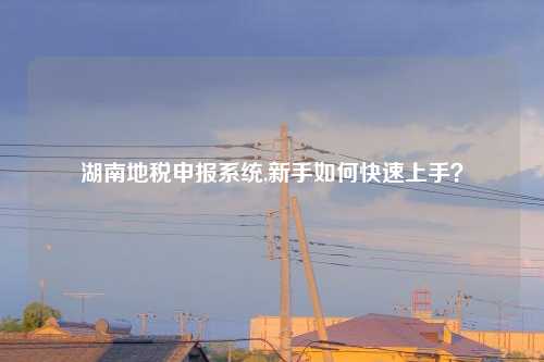 湖南地税申报系统,新手如何快速上手?