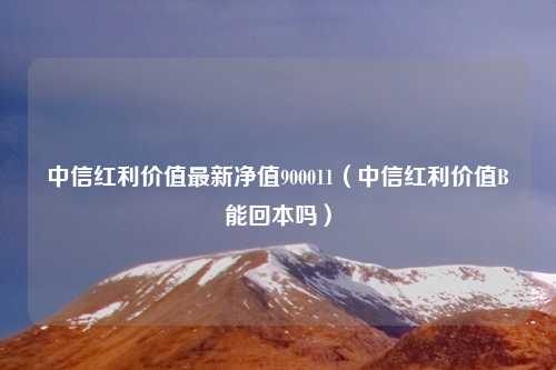 中信红利价值最新净值900011（中信红利价值B能回本吗）