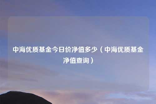 中海优质基金今日价净值多少(中海优质基金净值查询)