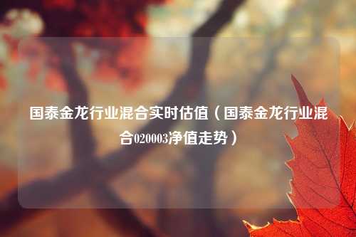 国泰金龙行业混合实时估值（国泰金龙行业混合020003净值走势）
