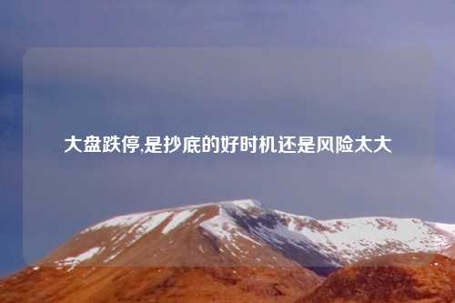 大盘跌停,是抄底的好时机还是风险太大