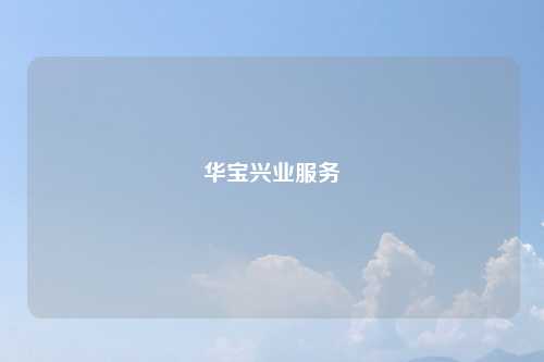 华宝兴业服务