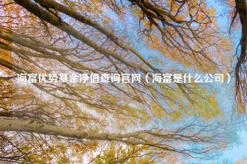 海富优势基金净值查询官网（海富是什么公司）