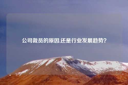 公司裁员的原因,还是行业发展趋势？