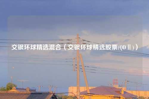 交银环球精选混合(交银环球精选股票(QDⅡ))